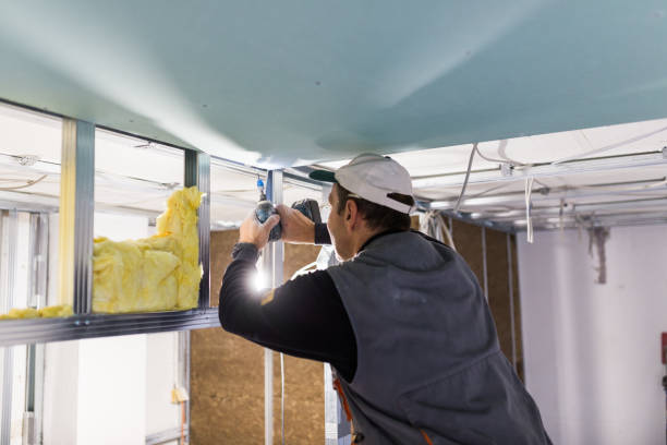 Best Cellulose Insulation in Carthage, TN