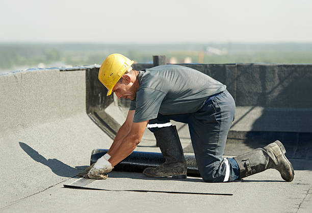 Best Blown-in Insulation in Carthage, TN
