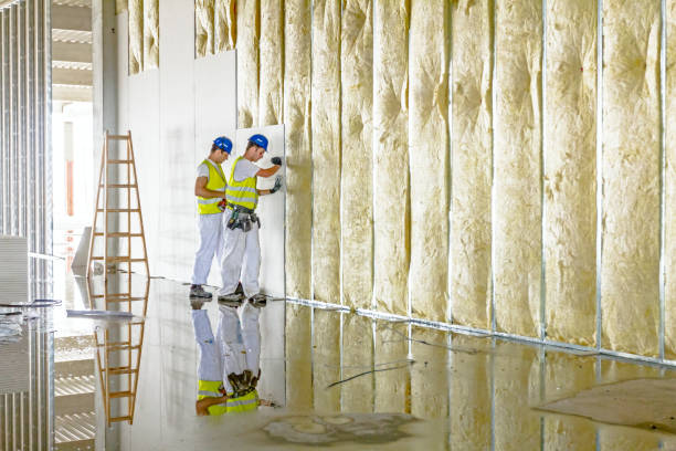 Professional Insulation Contractor in Carthage, TN